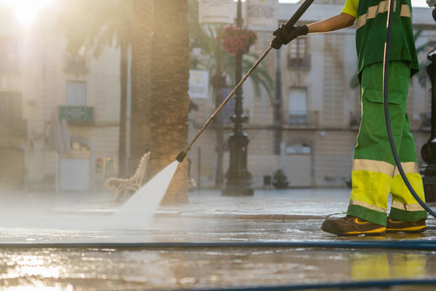 Best Animal Enclosure Cleaning  in Stlman Valley, IL